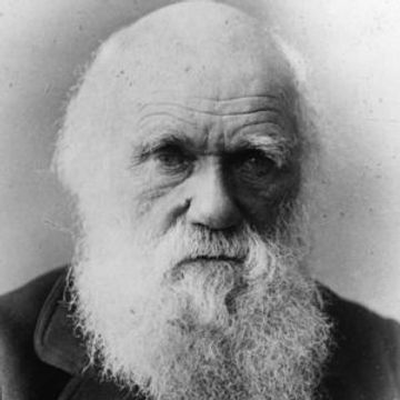 Martin J The Theory Of Darwin