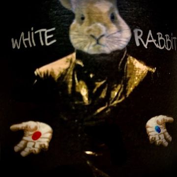 Difool John : The Vynil Rabbit &T he Black Woman