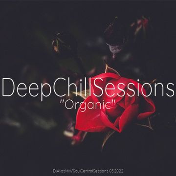 DeepChillSessions   Organic