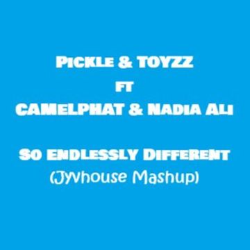 Pickle & TOYZZ ft CAMELPHAT & Nadia Ali   So Endlessly Different (Jyvhouse Mashup)