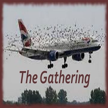 The Gathering