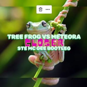 Meteoric Tree Frog      Hope AD 