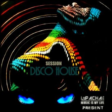 DISCO HOUSE 14 15