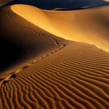In the Desert of Kell (AmbientDub)