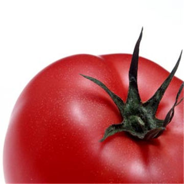 tomatochan