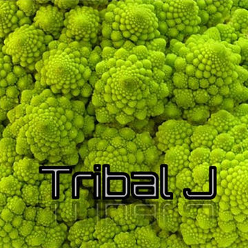 tribalj