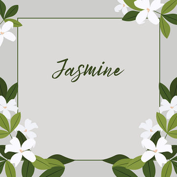 Jasmine