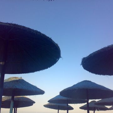 themis_p