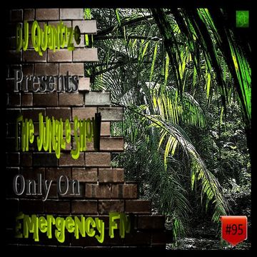 #95 Emergency FM   Jungle Show   Dec 23rd 2014