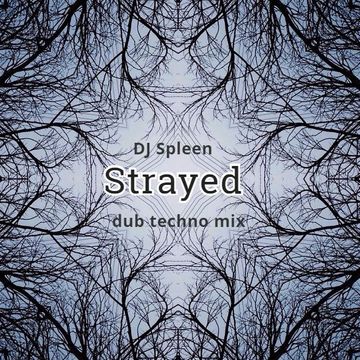 Strayed (dub techno mix)