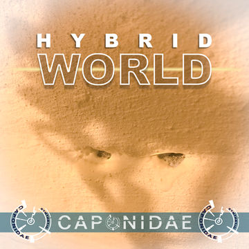 Hybrid World