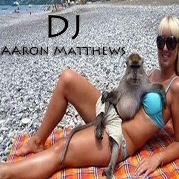 Relax The Monkey By DJ Aaron Matthews