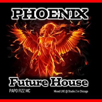 PHOENIX FUTURE HOUSE