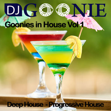 Goonies in House Vol 1