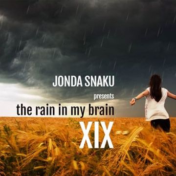 Jonda Snaku - The Rain in my Brain XIX
