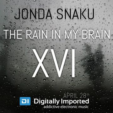 Jonda Snaku - The Rain in my Brain XVI