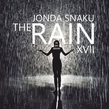 Jonda Snaku - The Rain In My Brain XVII