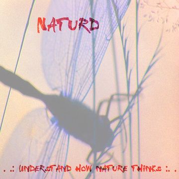 Understand how nature thinks 2008 - A dark track