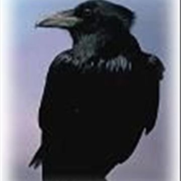 iTsThEcRoW