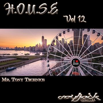 Mr. Tony Technics   H.O.U.S.E Vol 12.mp3