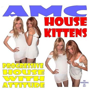 AMC House Kittens