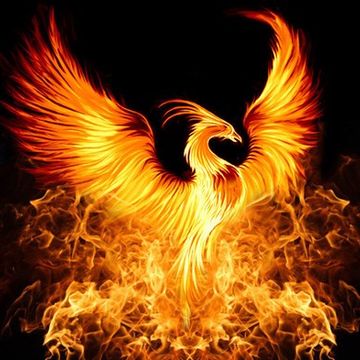 Rise Of The Phoenix