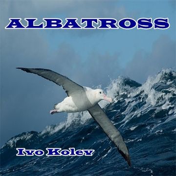 Albatross