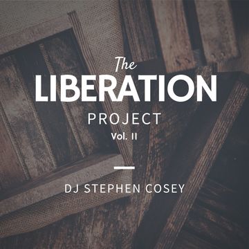 The Liberation Project Vol. 11