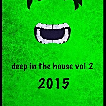 01 deep in the house  2015