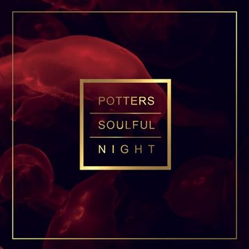 Tanzvergnügen Volume 87 | Potters Soulful Night