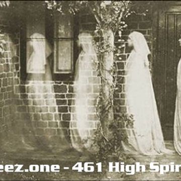 kleez.one   461 High Spirits