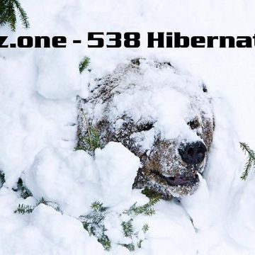 kleez.one   538 Hibernation