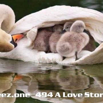 kleez.one   494 A Love Story