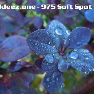 kleez.one   975 Soft Spot