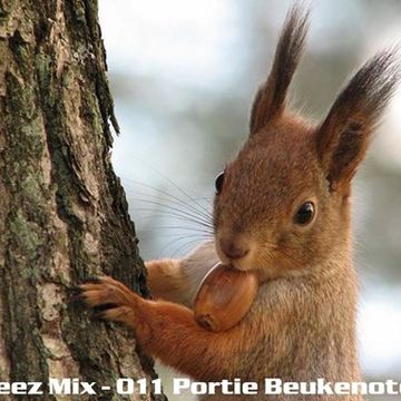 Kleez Mix   011 Portie Beukenoten