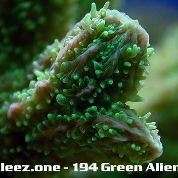 kleez.one   194 Green Aliens