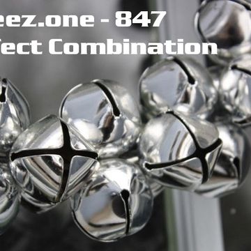 kleez.one   847 A Perfect Combination