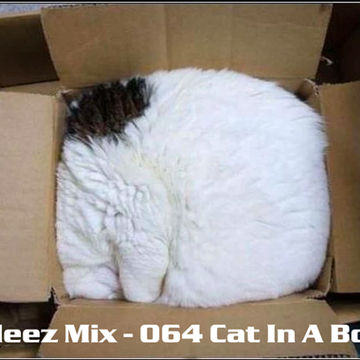 Kleez Mix   064 Cat In A Box