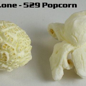 kleez.one   529 Popcorn