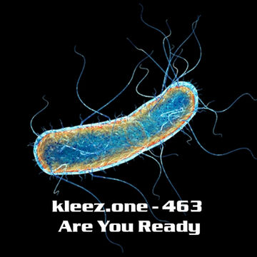 kleez.one   463 Are You Ready