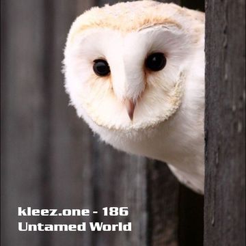 kleez.one   186 Untamed World