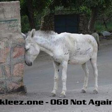 kleez.one   068 Not Again