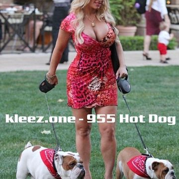 kleez.one   955 Hot Dog