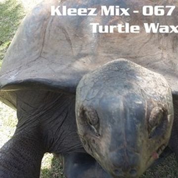 Kleez Mix   067 Turtle Wax