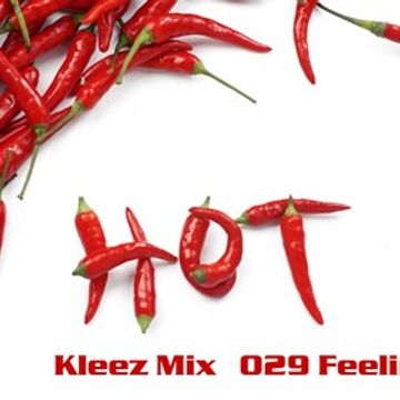 Kleez Mix   029 Feeling Hot