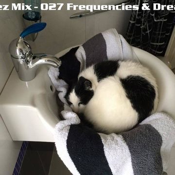 Kleez Mix   027 Frequencies & Dreams