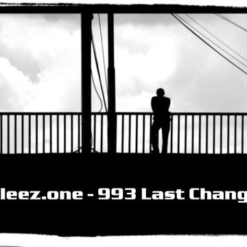 kleez.one   993 Last Change