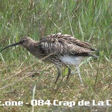 kleez.one   084 Crap de La Creme