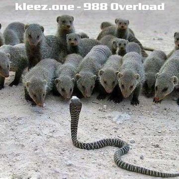 kleez.one   988 Overload