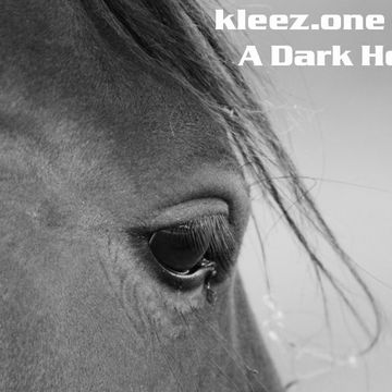 kleez.one   923 A Dark Horse